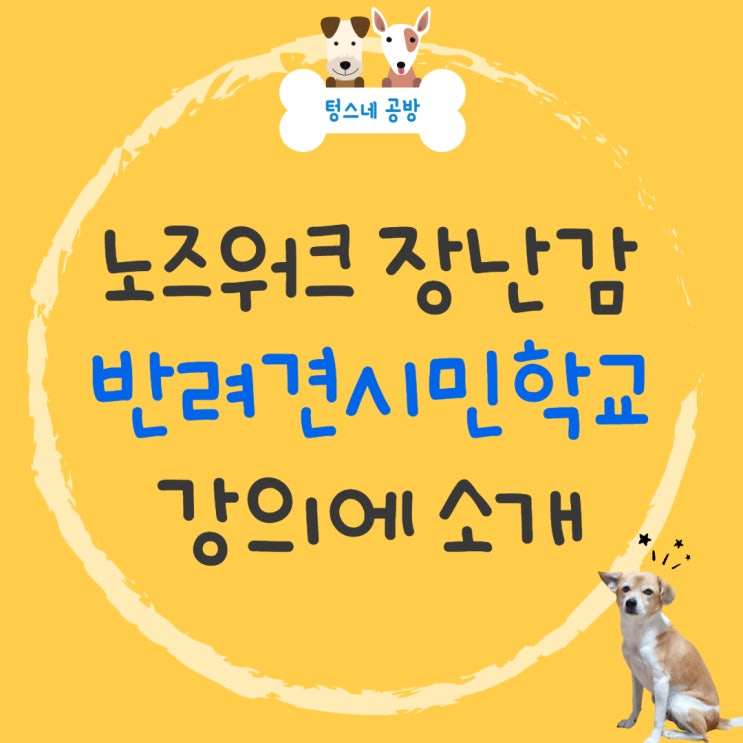  텅스네공방, 카라 반려견시민학교 강의에 소개되다