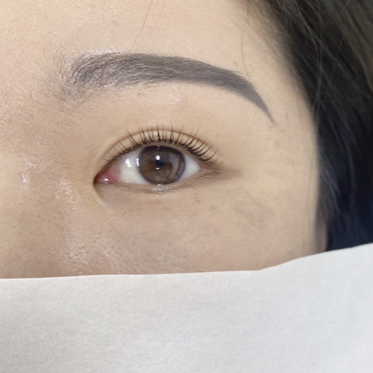  [내돈내산] 속눈썹 펌 잘하는 곳. 성남 단대오거리 라드네스 추천! 시술 후기, 소요시간, 유지기간, 한달 후 모습.