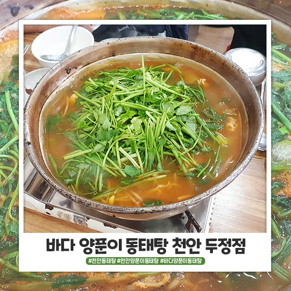 천안 동태탕 맛집 바다양푼이동태탕 두정점 다녀왔어요