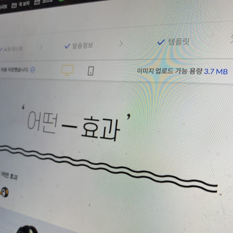  뉴스레터 발행하려고 해요..!