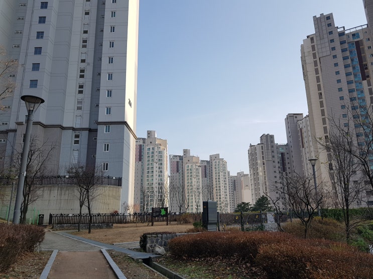 신동백과 청덕 광도 와이드빌을 연결하는 '동진원 1공원' 산책기~