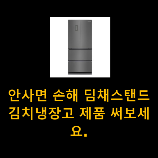 안사면 손해 딤채스탠드김치냉장고 제품 써보세요.