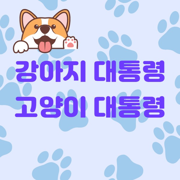  강아지 대통령(고양이 대통령에 대해서 궁금한 점)