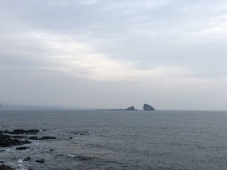  [32] 안덕면에서 다시 돌아가기