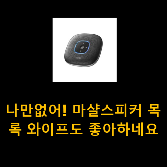 나만없어! 마샬스피커 목록 와이프도 좋아하네요