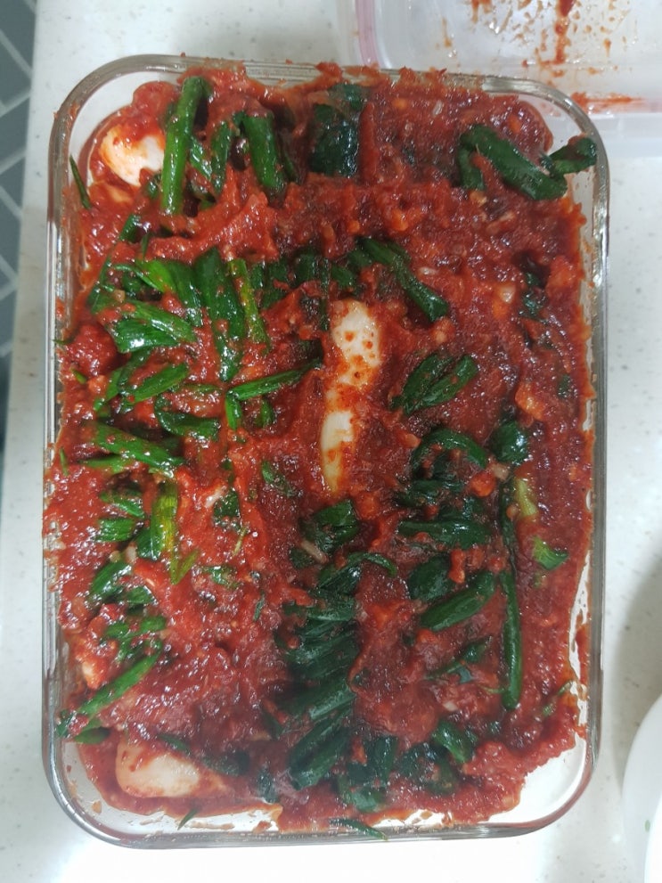 알싸한 파김치담그기//백종원 맛남의광장 따라하기