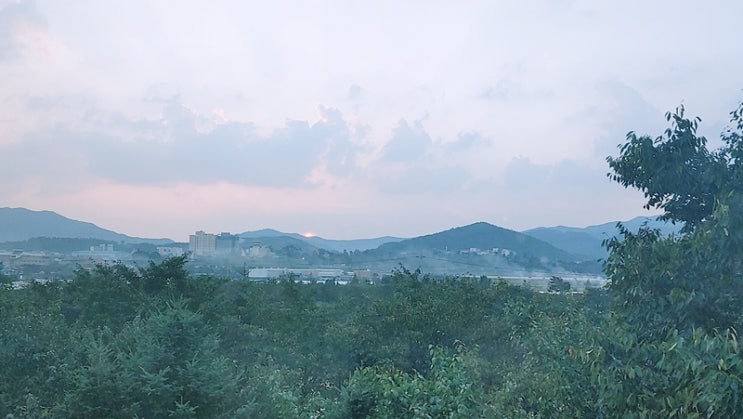  쾌한 부동산 썰 사무실 용도 오피스텔 분양받은 이야기