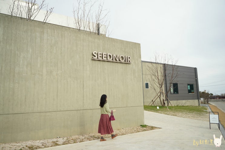 속초 설악산뷰 카페 시드누아 SEEDNOIR 속초 설악산뷰 카페 시드누아 SEEDNOIR