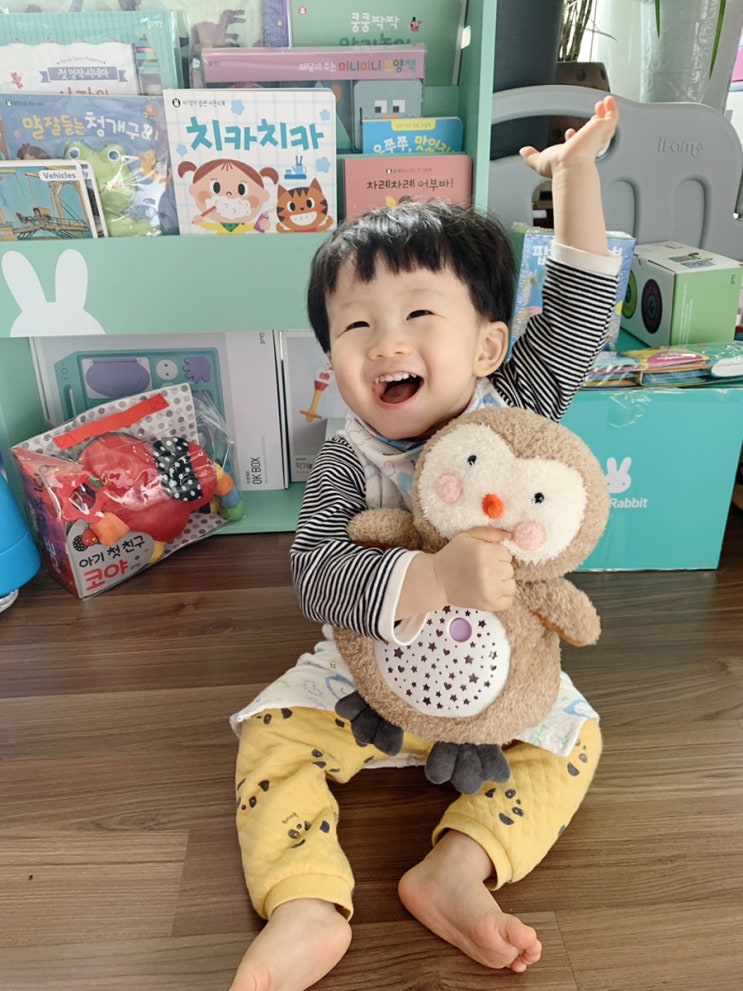  블루래빗 신구성 단계별 토이북과 홈쇼핑 소식 만나봐요