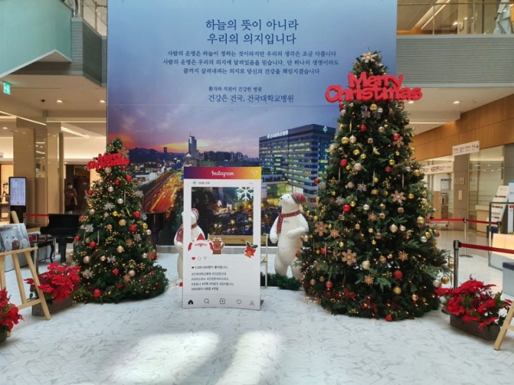  크리스마스트리 와 크리스마스 화초, 코스트코 트리 장식하기