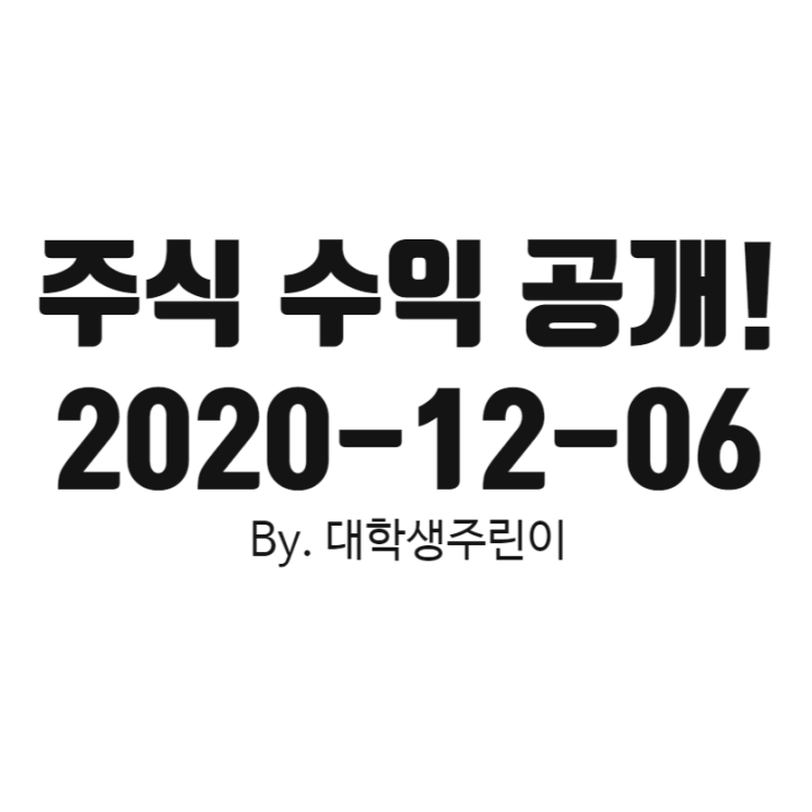  주식 수익 현황 2020-12-06 (feat. 앙드레 코스톨라니)