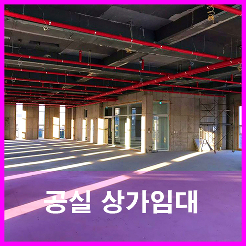  내덕동상가 6차선대로변 청주대학교부동산 청주시청원구대형상가