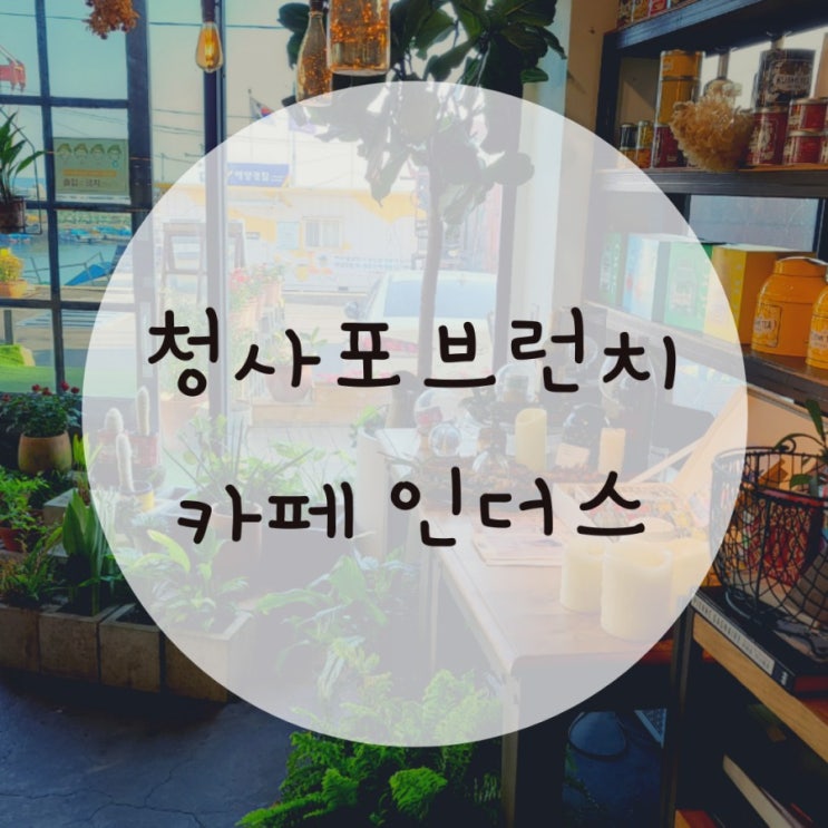 청사포카페추천 카페인더스 애견동반가능 청사포카페추천 카페인더스 애견동반가능