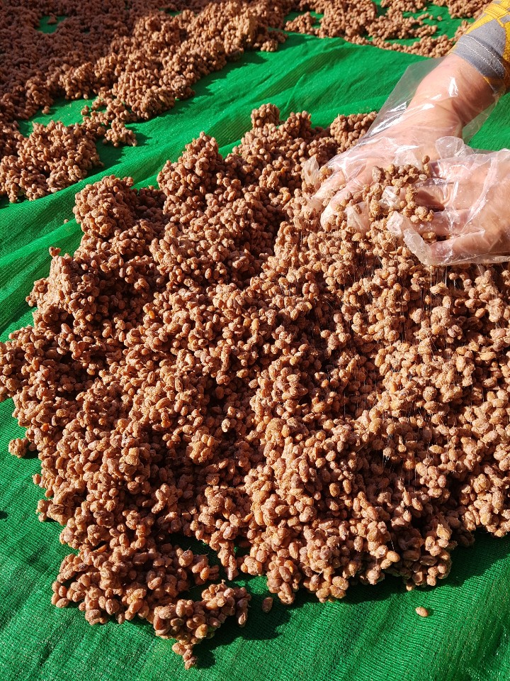  완도에서 농사지은 콩으로 만든  청국장 너무 맛있고 완전 웰빙식이네요!