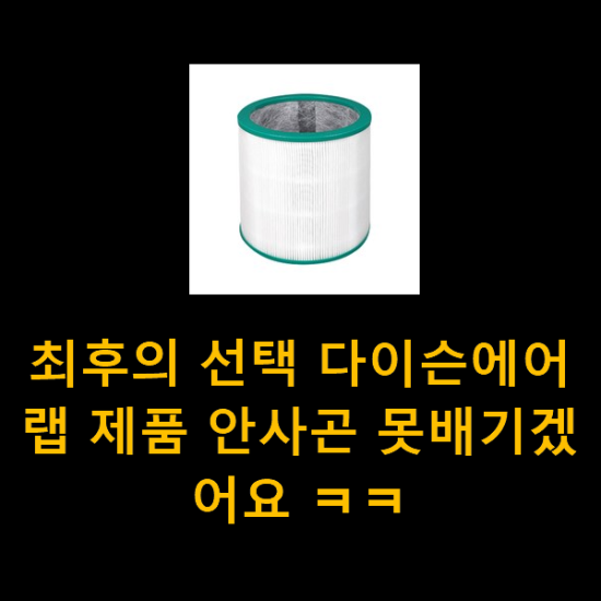 최후의 선택 다이슨에어랩 제품 안사곤 못배기겠어요 ㅋㅋ 최후의 선택 다이슨에어랩 제품 안사곤 못배기겠어요 ㅋㅋ