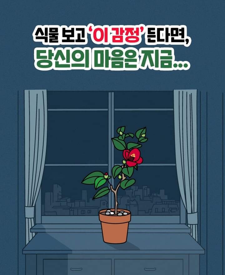  식물보고 "이 감정"든다면, 당신의 마음은 지금...