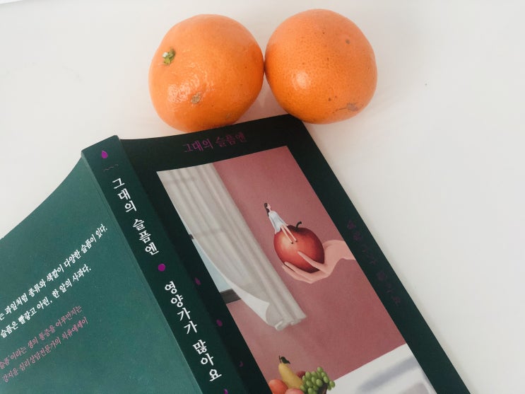  [에세이] 오늘도 수고한 나의 마음을 따스하게 껴안는 치유에세이 그대의 슬픔엔 영양가가 많아요