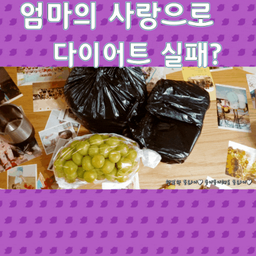 엄마의 사랑으로 다이어트 실패 ? (다이어트 일주일간의 변화)