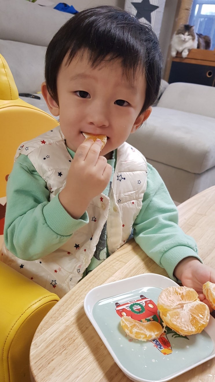  황금향과 해준이