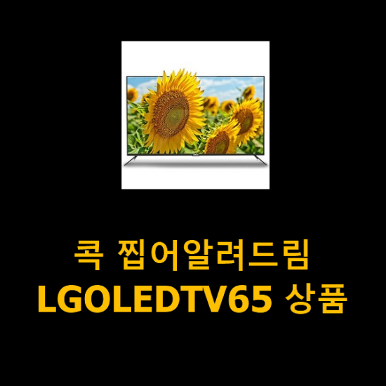 콕 찝어알려드림 LGOLEDTV65 상품