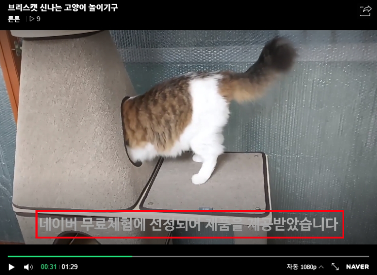 동영상누락 광고대가성표시 네이버동영상 검색반영요청 동영상누락 광고대가성표시 네이버동영상 검색반영요청
