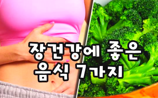  면역력 높이려면 장건강부터-장건강에 좋은 음식 7가지