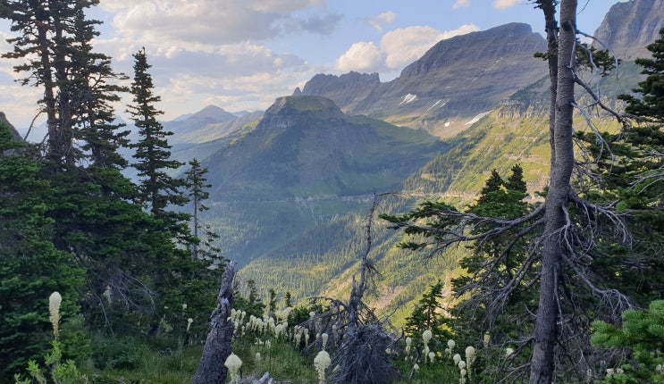  추억놀이_USA(Montana) 글레이셔국립공원(Glacier National Park) 빙하가 쓸고 간 대자연의 장관(무서워 벌벌 떨었던 기억...)