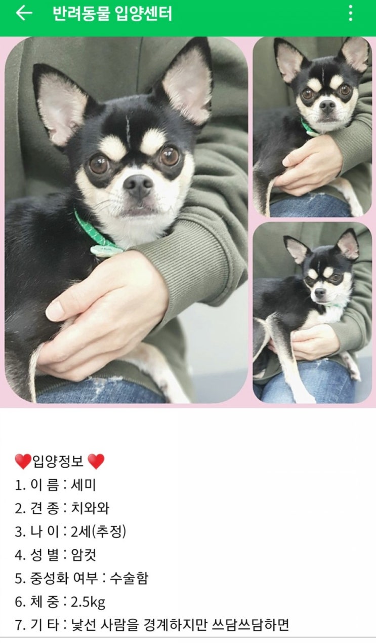  경기도 반려동물 입양센터에서 유기견 입양했습니다.