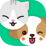  아지냥이(앱)을 여러분께 소개해드립니다!!!