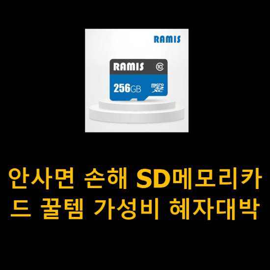 안사면 손해 SD메모리카드 꿀템 가성비 혜자대박