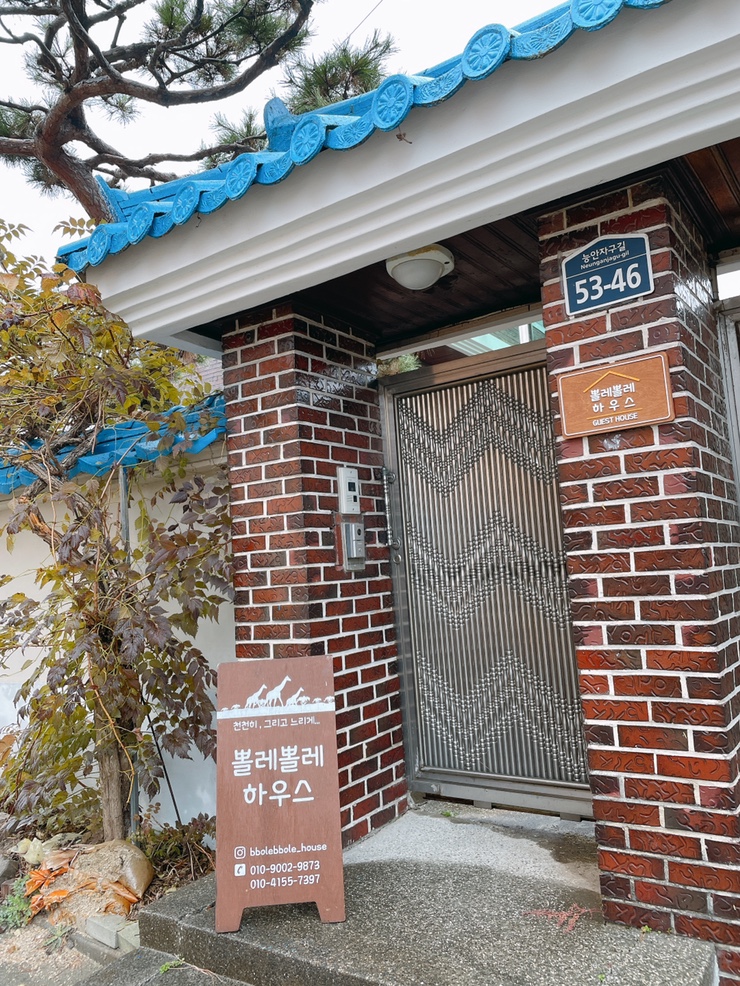  전주에어비앤비 뽈레뽈레하우스 잔디마당있고 포근했던전주숙소