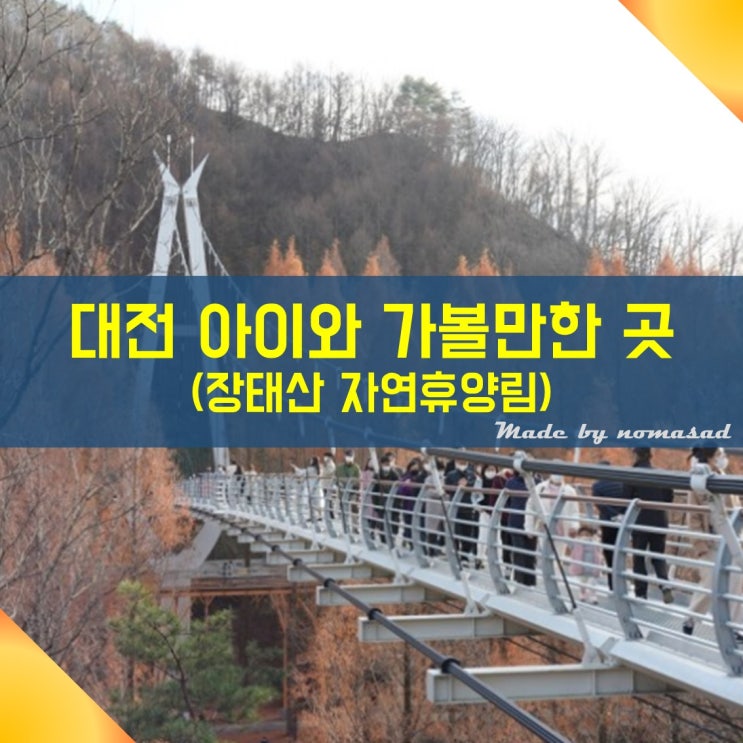 대전 아이와 함께 가볼만한 곳 장태산 자연휴양림(feat. 출렁다리) 대전 아이와 함께 가볼만한 곳 장태산 자연휴양림(feat. 출렁다리)