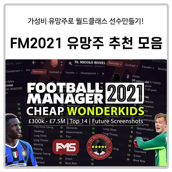  FM2021 유망주 추천 모음(싸게 영입 가능)
