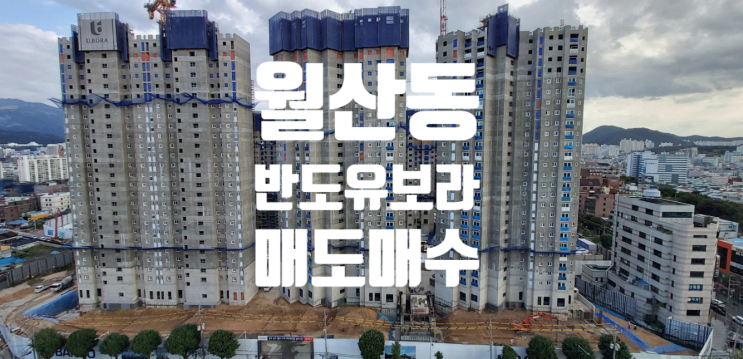 월산동 반도유보라 매도매수 분양권입주권