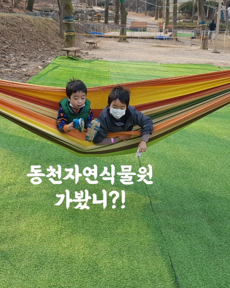  용인 동천자연식물원에 다녀왔어요