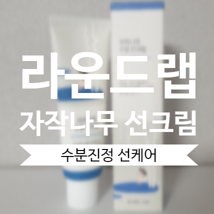  라운드랩 자작나무 선크림으로 선케어