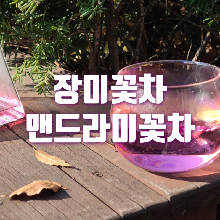 장미 꽃차 향이 일품이었던 길은꽃차 꽃차선물세트