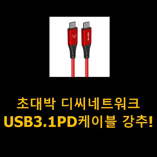 초대박 디씨네트워크USB3.1PD케이블 강추! 초대박 디씨네트워크USB3.1PD케이블 강추!