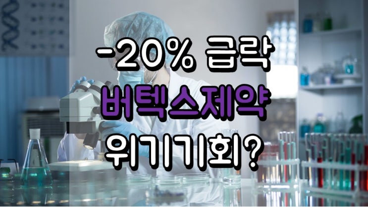 -20 % 급락한 버텍스 제약 위기일까? 기회일까? - 긍정론과 부정론, 주가 및 전망, VRTX