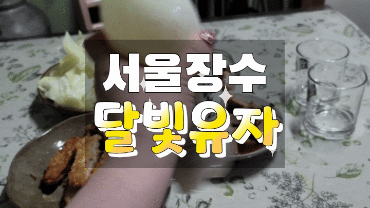  편의점신상 유자막걸리 달빛유자 마셔봤어요!