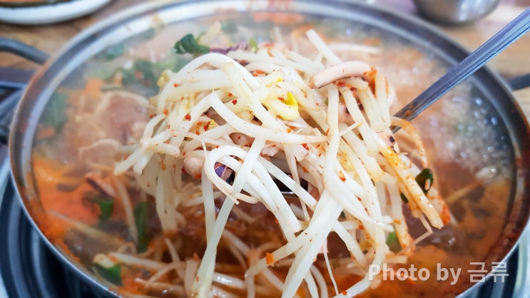  오징어해물탕 맛집 김천 미진식당