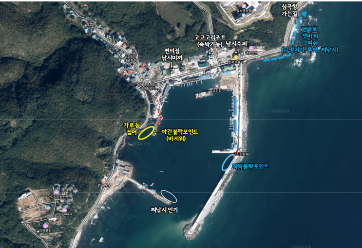  강릉 금진항 볼락 낚시포인트