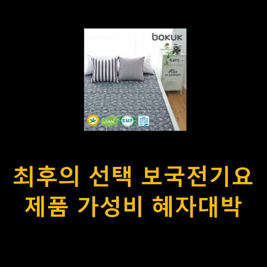 최후의 선택 보국전기요 제품 가성비 혜자대박 최후의 선택 보국전기요 제품 가성비 혜자대박