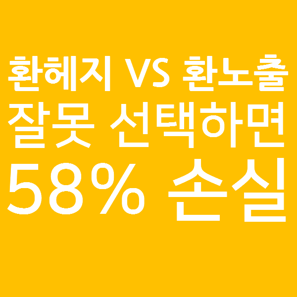  환헤지 VS 환노출 - 잘 못 선택했다가는 58% 손실을 볼 수도 있다!