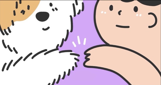  강아지와 나의 거리는? 재미로 보는 반려견 관계 테스트