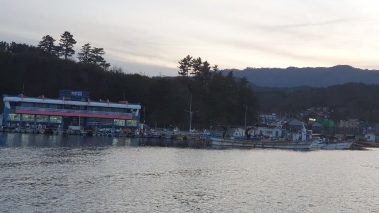  강원도 장호항 겨울바다