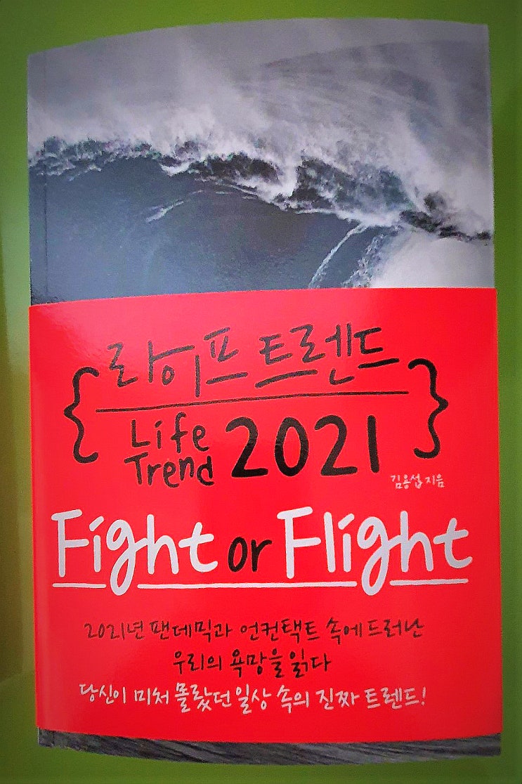 Fight of Flight! 싸울지 피할지 선택해야 한다. 라이프 트렌드 2021 -김용섭 지음-