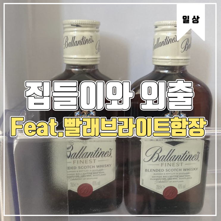  [일상] 거리두기 2.5단계가 되기전의 외출 Feat.빨래브라이트함장