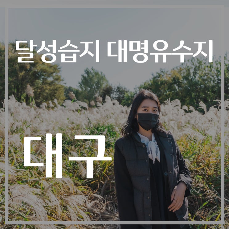  [대구여행] 달성습지 대명유수지, 생태학습관, 갈대밭, 억새밭, 데이트코스 추천, 대구명소, 대구 나들이, 가볼만한곳, 가을여행지