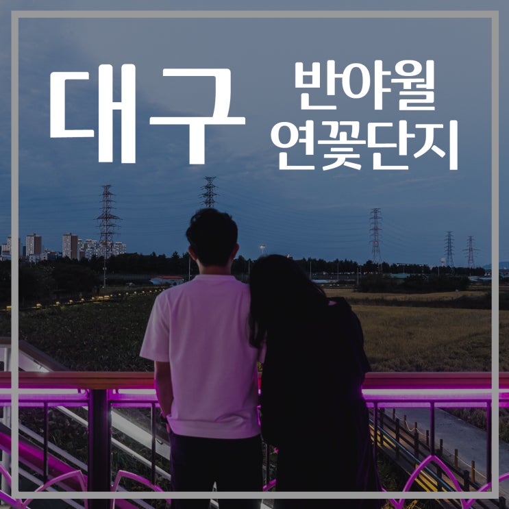  [대구여행] 반야월 연꽃단지, 안심습지, 대구야경, 데이트코스 추천, 대구명소, 대구 나들이, 가볼만한곳, 커플사진